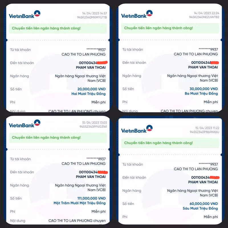 Thue Pham Thoai 220 trieu dong ban hang, chi thu ve hon 20 trieu dong, su that the nao?-Hinh-2