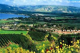 Theo giáo sư Marco, gò Kinneret rất có thể được xây dựng trên đất liền và bị đẩy ra biển do một trận động đất. Dù vậy, giới khoa học vẫn đang tìm kiếm các bằng chứng khoa học để giải mã bí ẩn về nơi này.