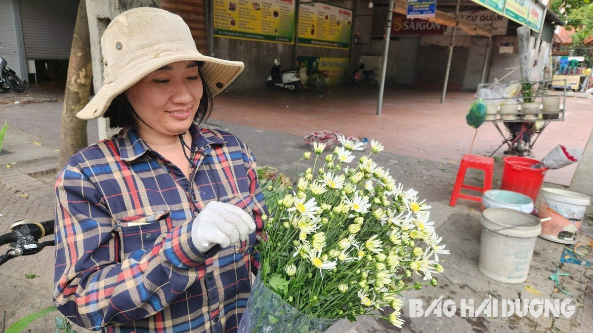 Cuc hoa mi xuat hien som, gia cao van hut nguoi mua