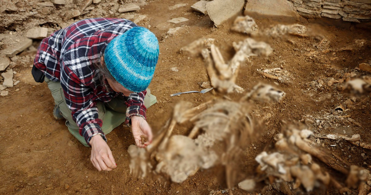 Theo The Guardian, một bài báo xuất bản năm 1896 đã viết về ngôi mộ cổ trên được con trai của một nông dân phát hiện khi đang khám phá ngôi nhà của gia đình ở Quần đảo Orkney ngoài khơi bờ biển phía đông bắc Scotland.