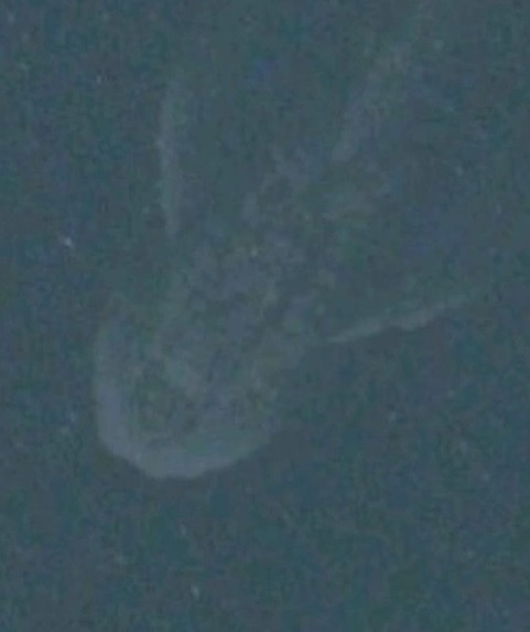 Năm 2013, công chúng xôn xao khi 2 “thợ săn quái vật” nghiệp dư Peter Thain và Andy Dixon công bố ảnh chụp sinh vật bí ẩn được cho là quái vật hồ Loch Ness. Họ chụp được bức ảnh này khi sử dụng ứng dụng Apple Maps trên iPhone.