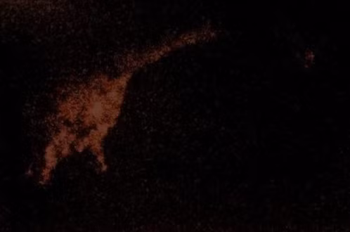 Năm 1975, nhà phát minh người Mỹ Robert Rines đã sử dụng máy quét siêu âm thả xuống lòng hồ Loch Ness để tìm kiếm sinh vật bí ẩn. Theo đó, hình ảnh từ máy quét siêu âm của ông Rines cho thấy bóng dáng của một vật thể giống với khủng long cổ dài thời cổ đại.