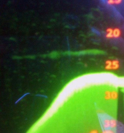 Vào năm 2012, nhà khoa học Marcus Atkinson sử dụng máy quét siêu âm và bất ngờ ghi lại được hình ảnh một sinh vật giống rắn với kích thước khổng lồ di chuyển bên dưới mặt hồ Loch Ness. Theo ông, quái vật này có độ dài ước tính khoảng 22,86m.