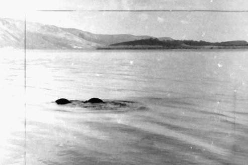 Tháng 3/1973, Frank Searle chụp được bức ảnh những ụ nổi lên từ mặt hồ Loch Ness. Ông tin rằng đó chính là những khối bướu trên lưng của quái vật hồ Loch Ness.