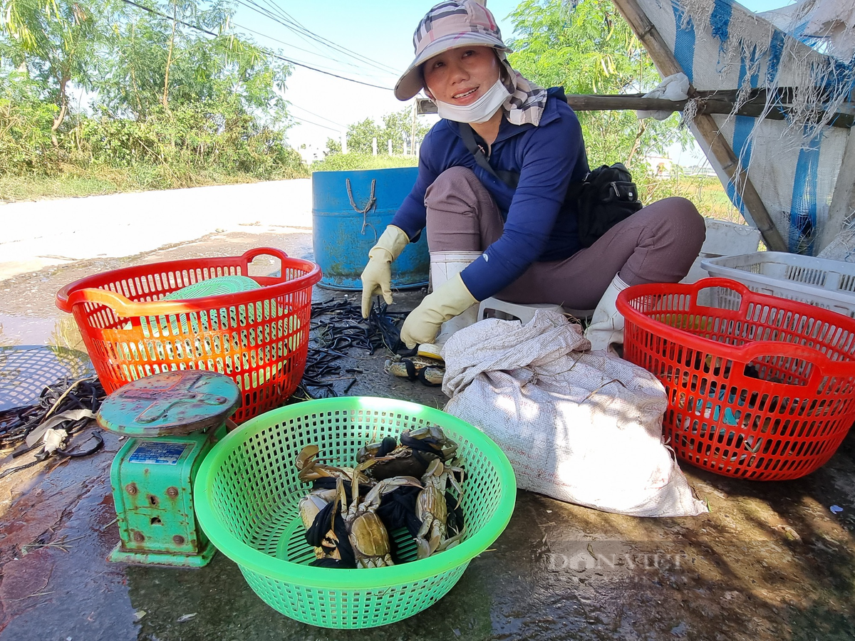 Cach chon cua bien sieu ngon, chac thit bach phat bach trung