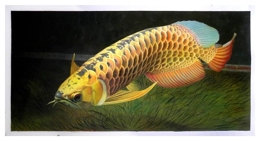 Tại Việt Nam, cá rồng hoang dã được tìm thấy nhiều nhất là ở Đồng Nai. Loài cá này thường có màu vàng, đỏ. Một số nền văn hóa châu Á quan niệm cá rồng hoang dã mang đến may mắn và sự giàu có cho chủ nhân.