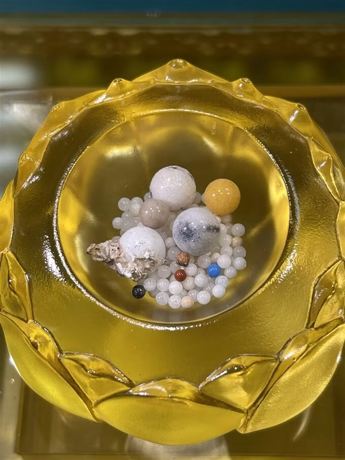 Những viên xá lợi của Đức Trưởng Lão Hòa thượng Tinh Vân đều rất sạch sẽ, trắng bóng. Trong số này, 25 viên xá lợi có kích thước lớn hơn ngọc trai. Những viên xá lợi nhỏ hơn với số lượng khá nhiều.