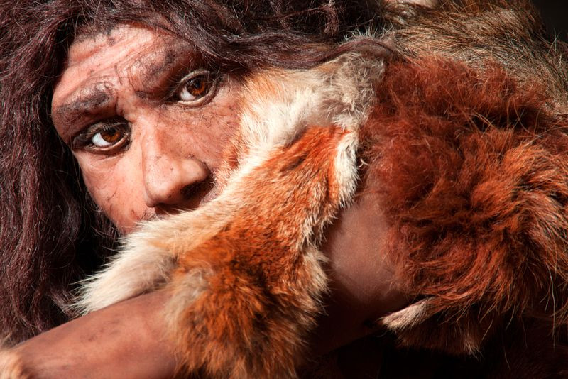 Nhóm cá thể Neanderthal mang 6% gene của người Homo sapiens nhưng chúng đã bị che lấp trong quá trình tiến hóa.