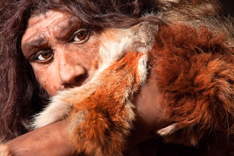 Nhóm cá thể Neanderthal mang 6% gene của người Homo sapiens nhưng chúng đã bị che lấp trong quá trình tiến hóa.