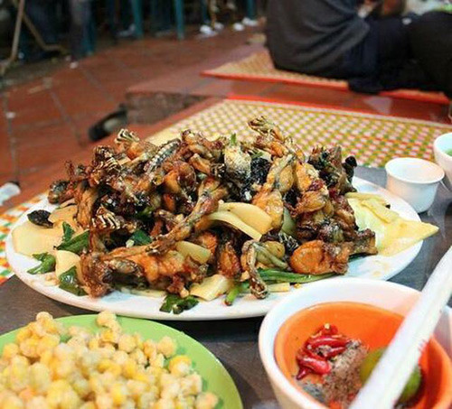  Nhớ tích điểm vào thẻ khách hàng thân thiết mỗi khi thanh toán: Các nhà hàng và hệ thống nhà hàng hầu như đều có sử dụng thẻ khách hàng thân thiết để tích điểm thưởng cho khách. Và đây chính là tuyệt chiêu ăn nhà hàng lúc nào cũng được giảm giá dành cho bạn.