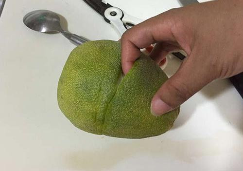 Bước 2: Dùng tay nhẹ nhàng cậy vào đường mà bạn cắt trên quả bưởi và lột ngược nó lên trên.