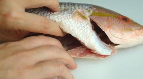 Có 3 loại nội tạng không thể ăn được vì chúng có thể gây ngộ độc chết người đó là mật cá trắm, cá chép, cá trôi...; nội tạng cóc; nội tạng cá nóc.