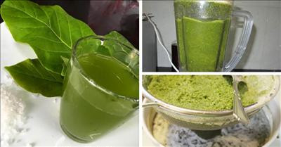 Tiếp đó, bạn hãy cho lá bàng, 1/4 thìa cà phê muối và 250ml nước vào máy xay sinh tố, xay nhuyễn trong khoảng 5 phút.