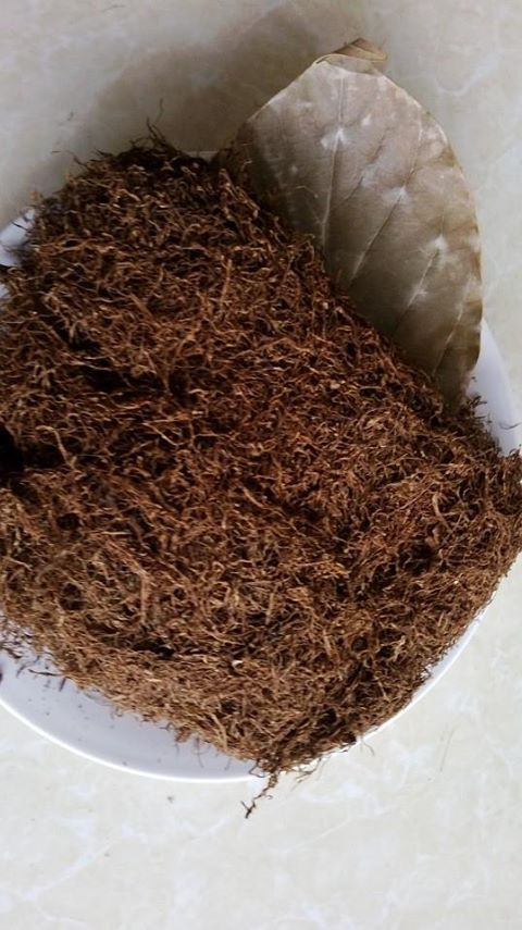 Bạn có thể vo nát lá thuốc lào tươi hoặc lấy một ít sợi thuốc lào vê tròn rồi đắp trực tiếp lên chỗ bị thương, đang chảy máu.