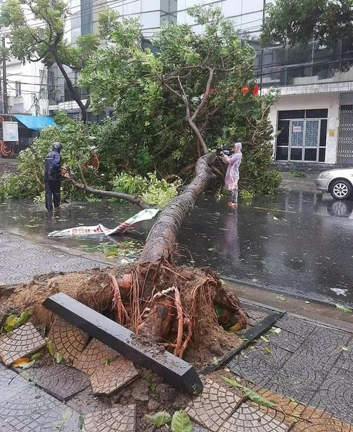 Đà Nẵng báo cáo nhanh về thiệt hại do bão Trami gây ra - Hình 2 Da Nang bao cao nhanh ve thiet hai do bao Trami gay ra-Hinh-2