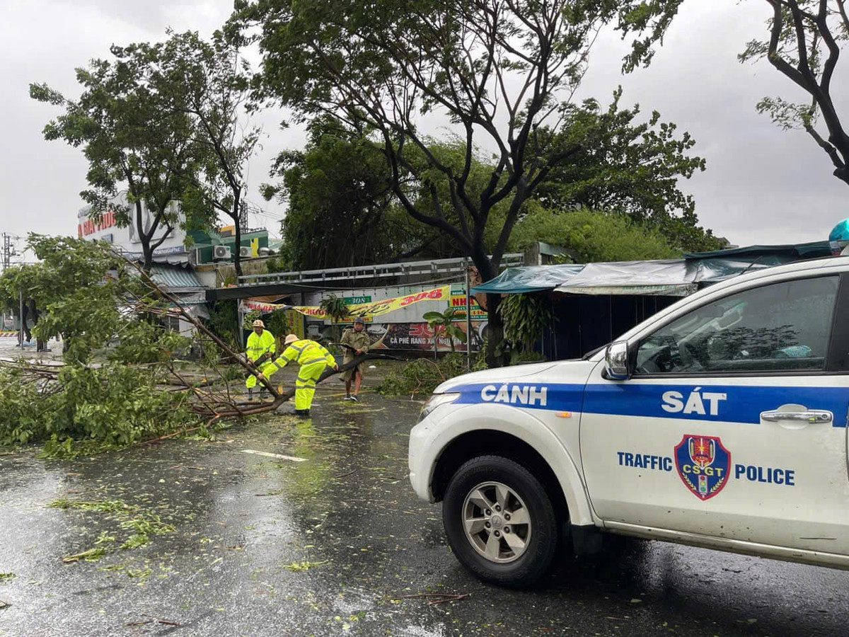Đà Nẵng báo cáo nhanh về thiệt hại do bão Trami gây ra - Hình 3 Da Nang bao cao nhanh ve thiet hai do bao Trami gay ra-Hinh-3