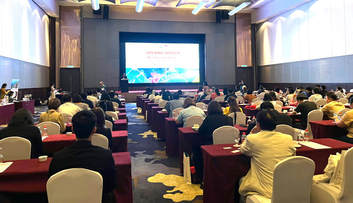 Du lịch Đà Nẵng đa dạng hóa thị trường để hút khách quốc tế - Hình 2 Du lich Da Nang da dang hoa thi truong de hut khach quoc te-Hinh-2