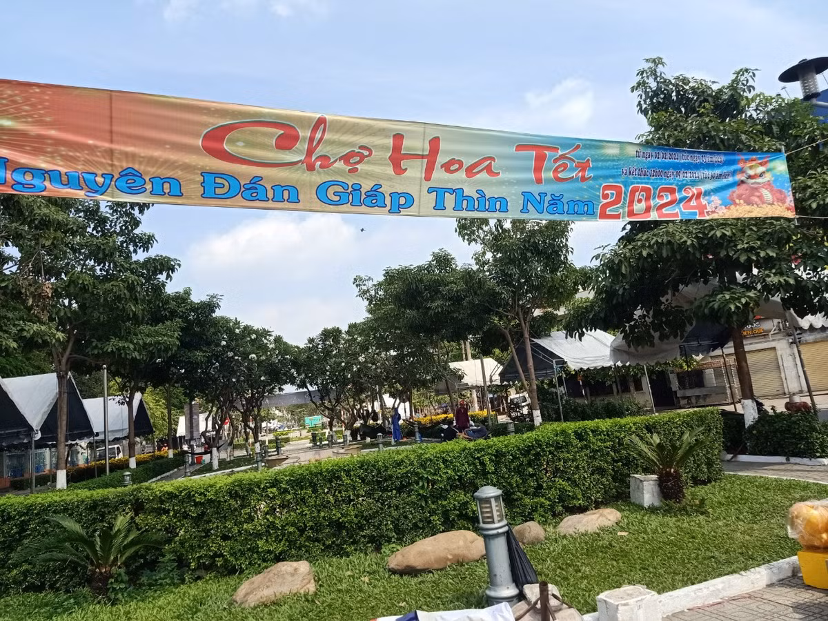 TP. HCM: Cho hoa Tet Go Vap xuan Giap Thin 2024 co gi?-Hinh-2