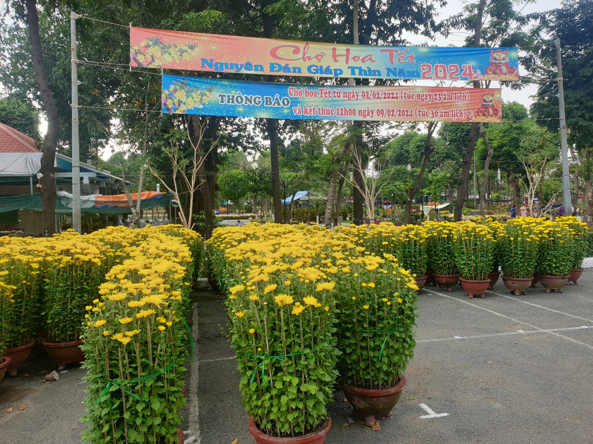 TP. HCM: Chợ hoa Tết Gò Vấp xuân Giáp Thìn 2024 có gì? TP. HCM: Cho hoa Tet Go Vap xuan Giap Thin 2024 co gi?