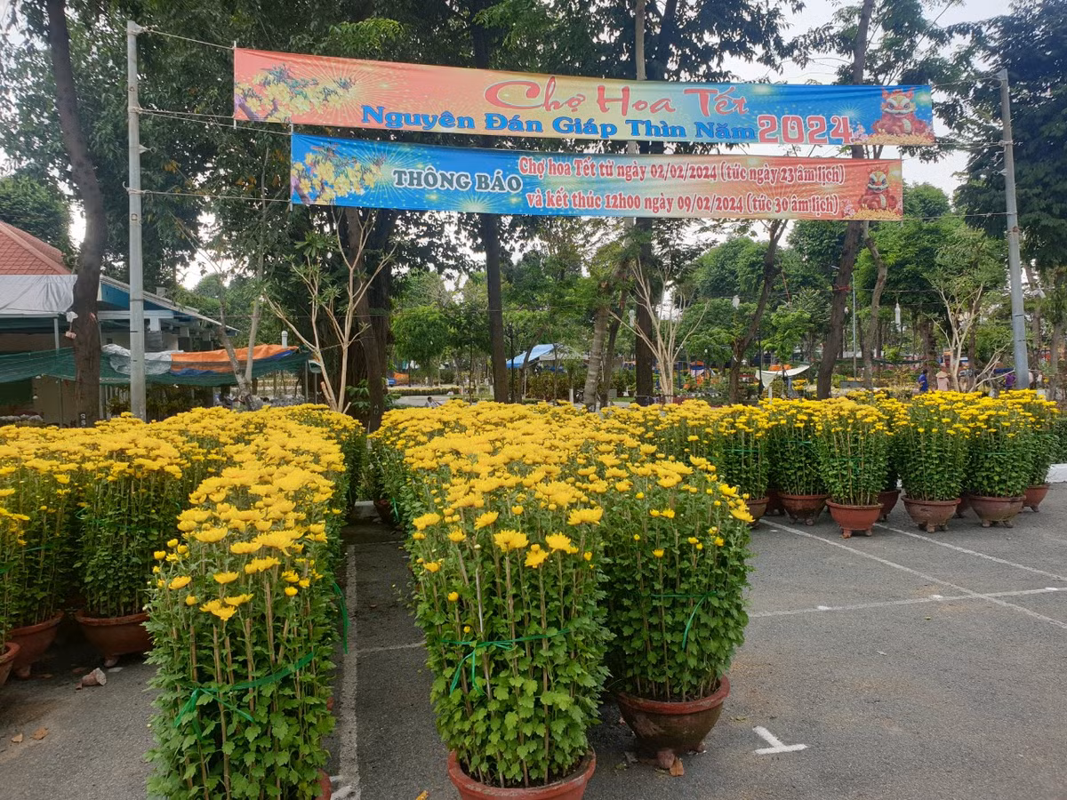 TP. HCM: Cho hoa Tet Go Vap xuan Giap Thin 2024 co gi?