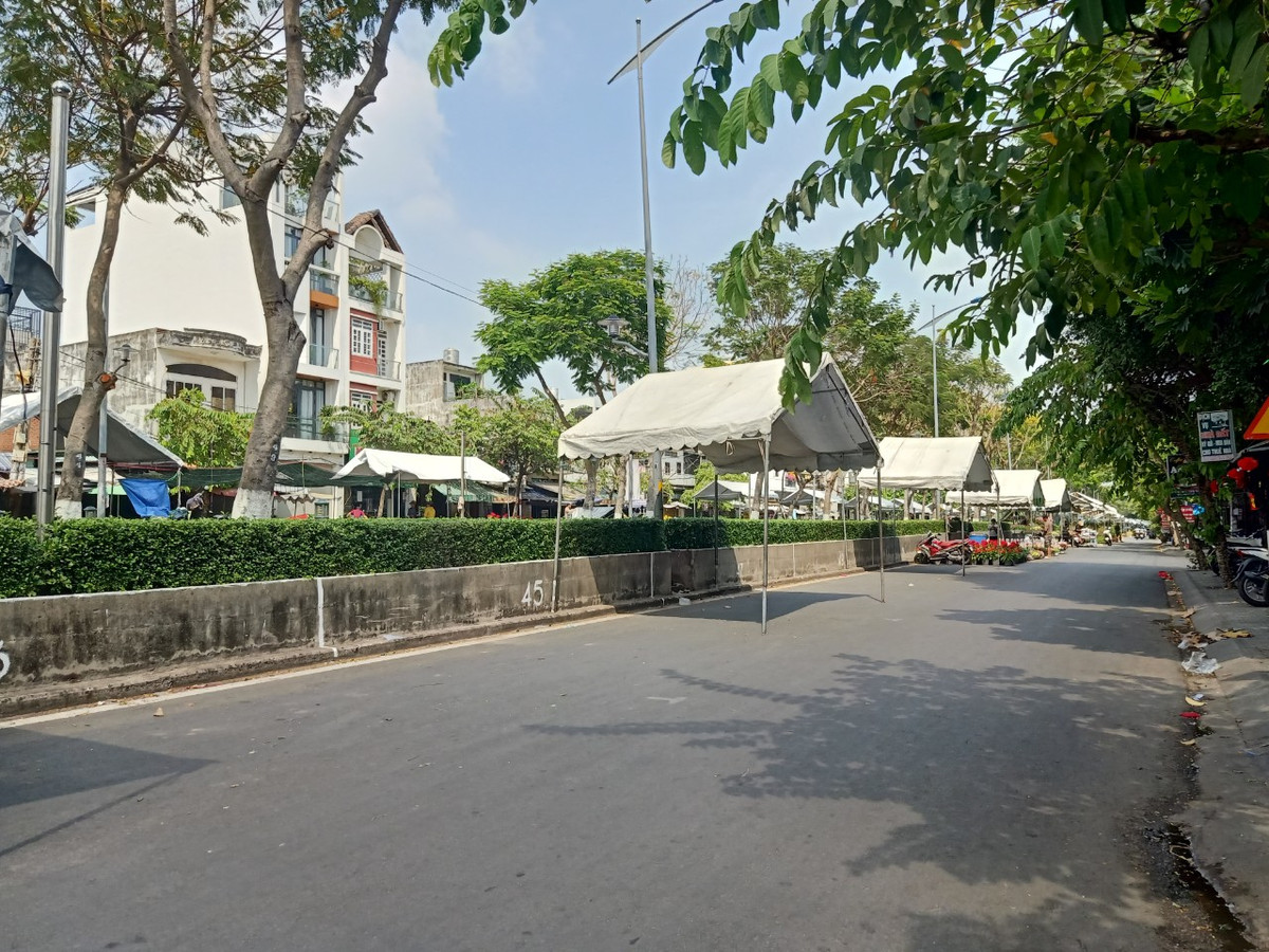 TP. HCM: Chợ hoa Tết Gò Vấp xuân Giáp Thìn 2024 có gì? - Hình 6 TP. HCM: Cho hoa Tet Go Vap xuan Giap Thin 2024 co gi?-Hinh-6