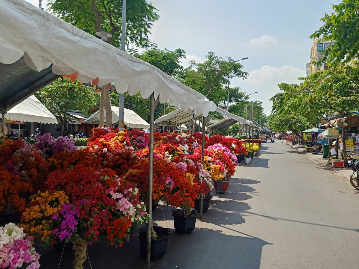 TP. HCM: Chợ hoa Tết Gò Vấp xuân Giáp Thìn 2024 có gì? - Hình 7 TP. HCM: Cho hoa Tet Go Vap xuan Giap Thin 2024 co gi?-Hinh-7