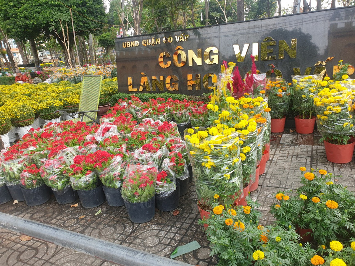 TP. HCM: Chợ hoa Tết Gò Vấp xuân Giáp Thìn 2024 có gì? - Hình 3 TP. HCM: Cho hoa Tet Go Vap xuan Giap Thin 2024 co gi?-Hinh-3