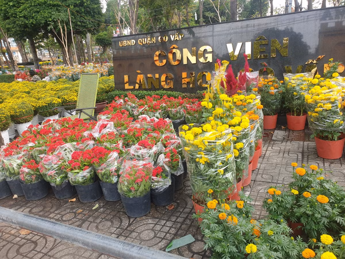 TP. HCM: Cho hoa Tet Go Vap xuan Giap Thin 2024 co gi?-Hinh-3