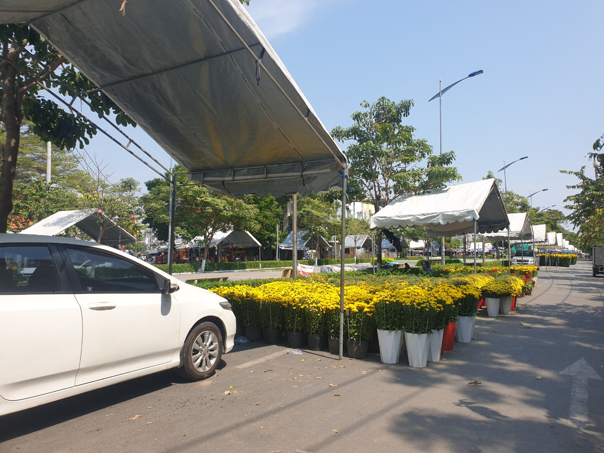 TP. HCM: Chợ hoa Tết Gò Vấp xuân Giáp Thìn 2024 có gì? - Hình 11 TP. HCM: Cho hoa Tet Go Vap xuan Giap Thin 2024 co gi?-Hinh-11