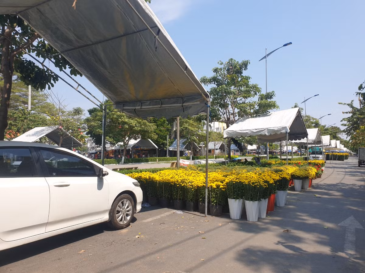 TP. HCM: Cho hoa Tet Go Vap xuan Giap Thin 2024 co gi?-Hinh-11
