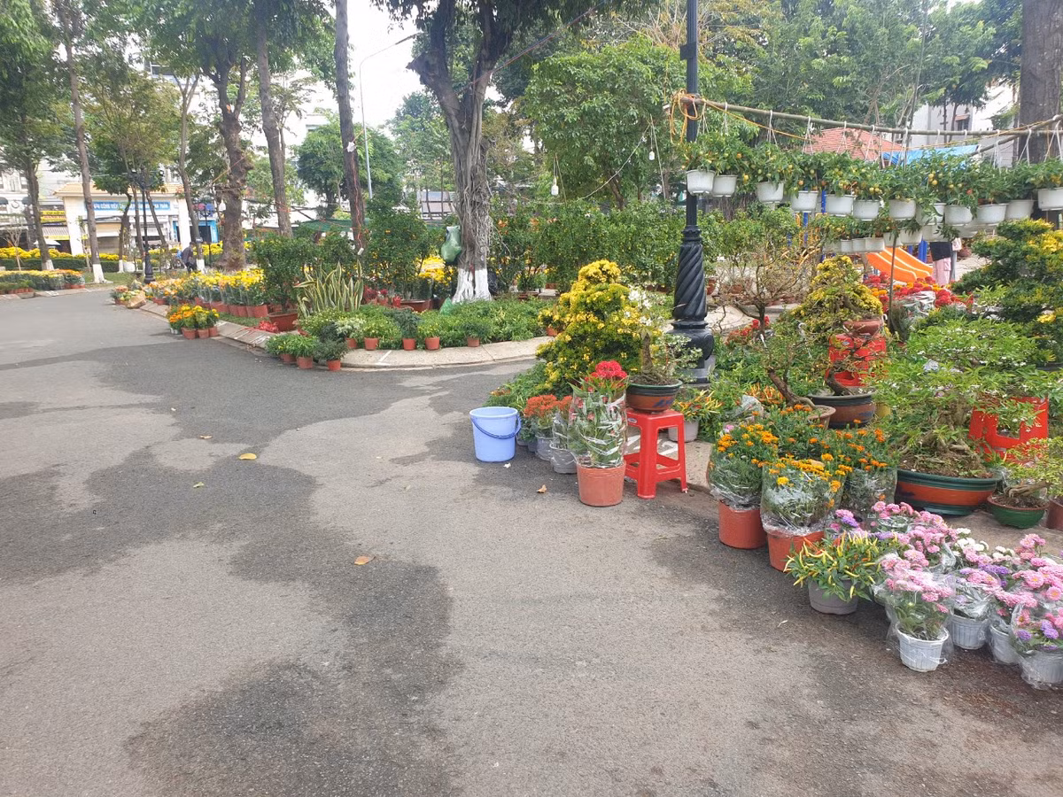 TP. HCM: Cho hoa Tet Go Vap xuan Giap Thin 2024 co gi?-Hinh-4