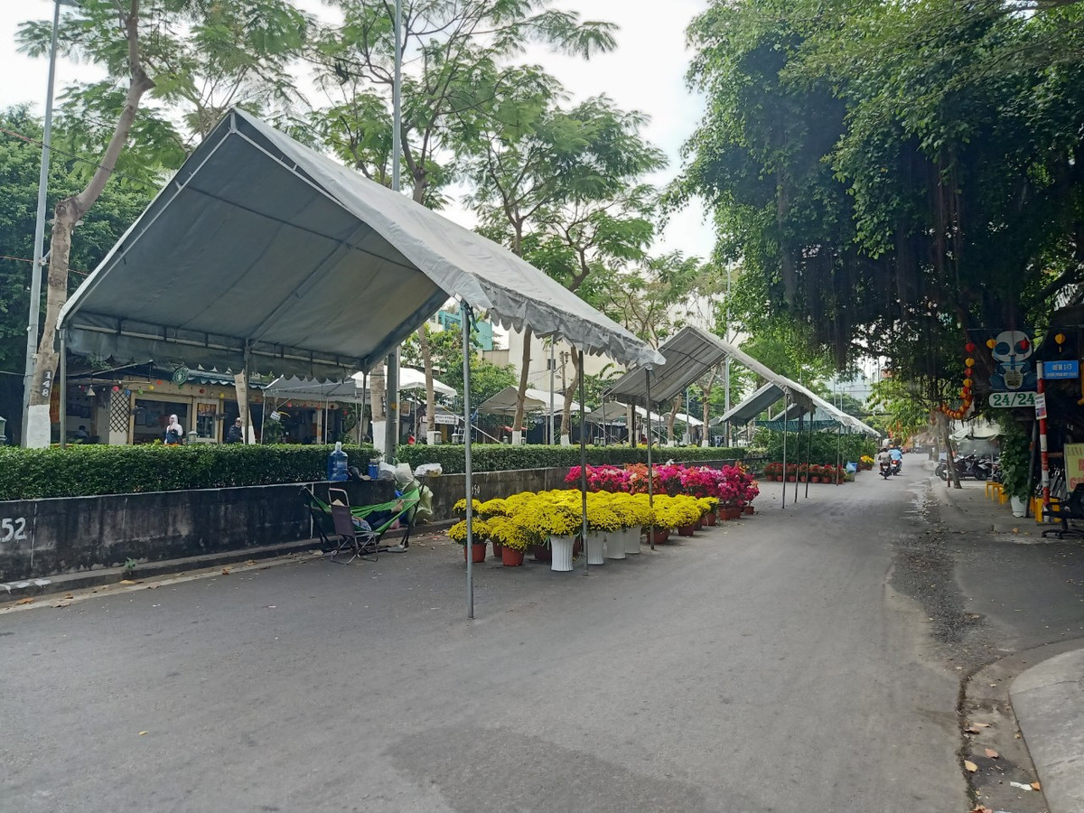 TP. HCM: Chợ hoa Tết Gò Vấp xuân Giáp Thìn 2024 có gì? - Hình 5 TP. HCM: Cho hoa Tet Go Vap xuan Giap Thin 2024 co gi?-Hinh-5