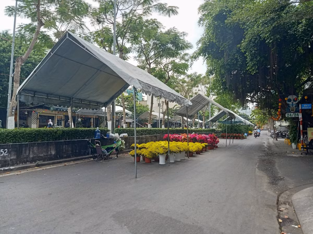 TP. HCM: Cho hoa Tet Go Vap xuan Giap Thin 2024 co gi?-Hinh-5