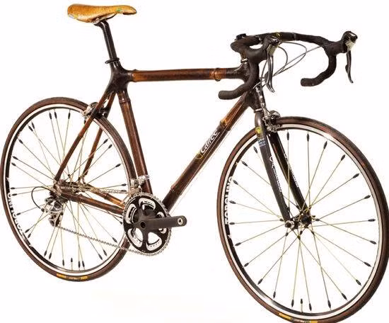 Với việc xử lý qua nhiệt, mẫu xe tre này không lo bị nứt. Ảnh: Treehugger.