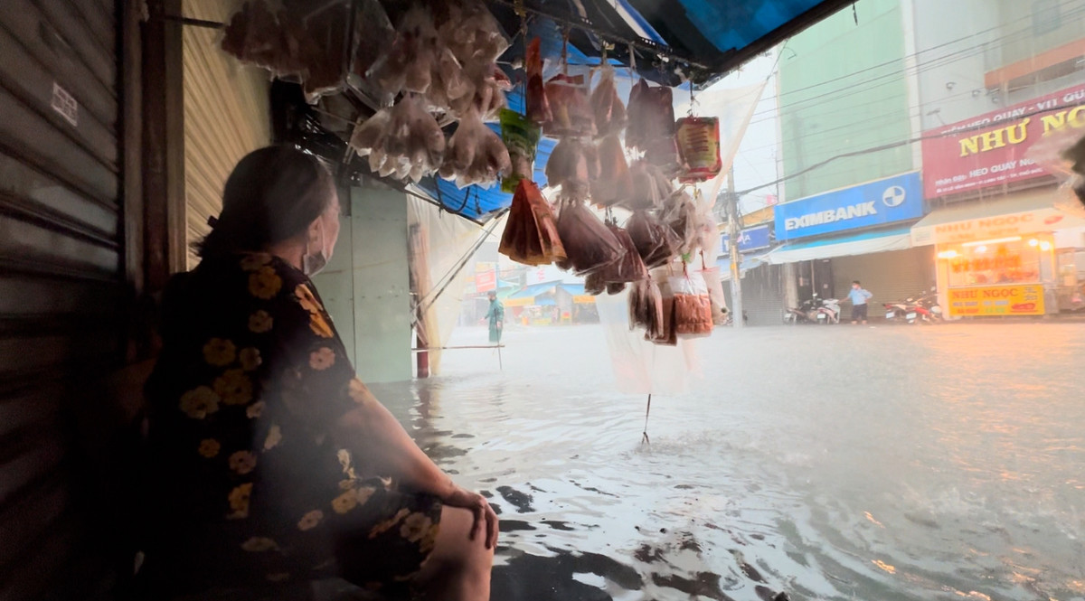 Tiểu thương bàng hoàng...