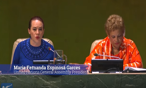 Sau khi kết thúc phiên họp toàn thể, Chủ tịch Đại hội đồng LHQ Maria Fernanda Espinosa Garces thông báo Việt Nam trúng cử Ủy viên không thường trực của Hội đồng Bảo an LHQ nhiệm kỳ 2020-2021 với kết quả 192 phiếu ủng hộ. Ảnh chụp màn hình.