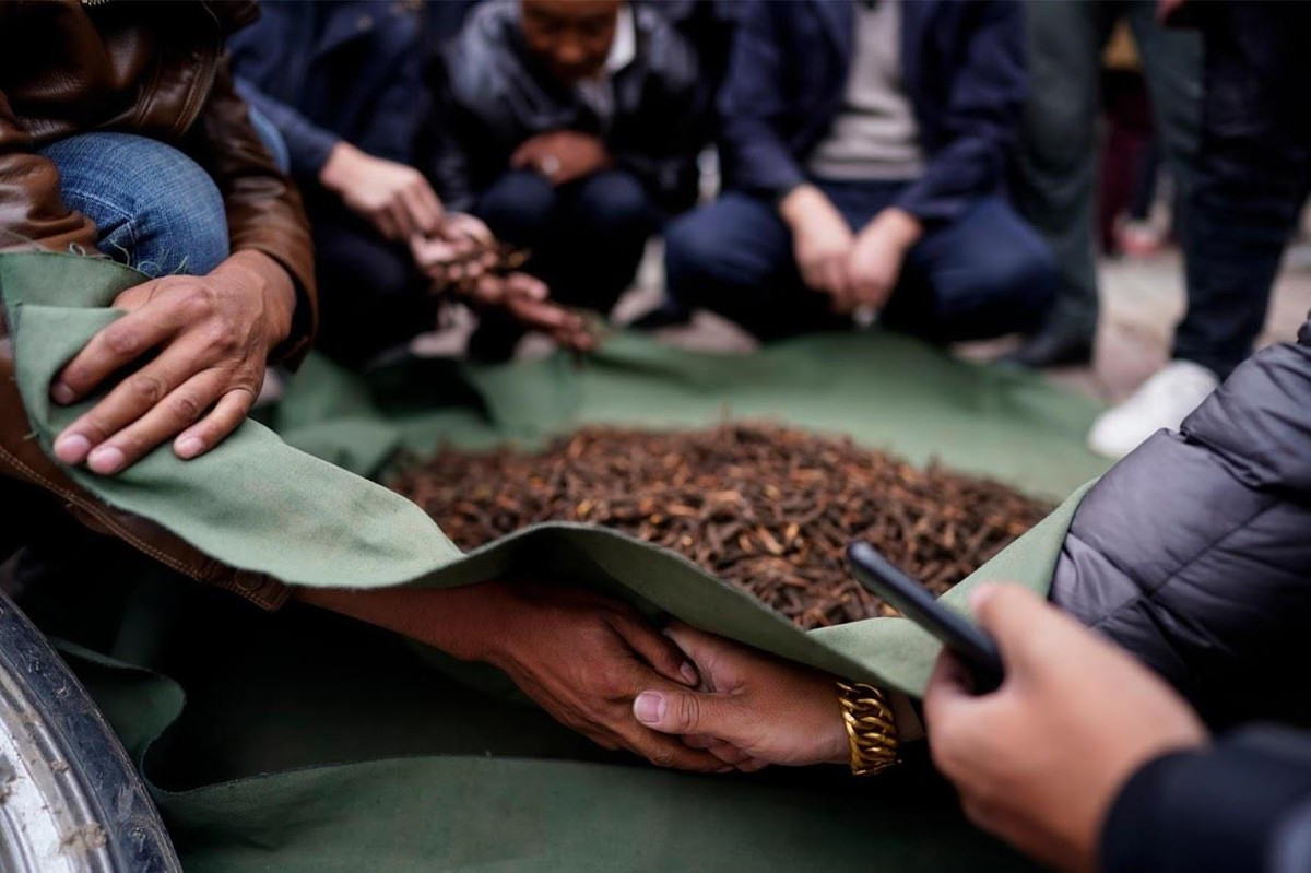 Nhoc nhan cuoc san lung dong trung ha thao tren suon nui-Hinh-9