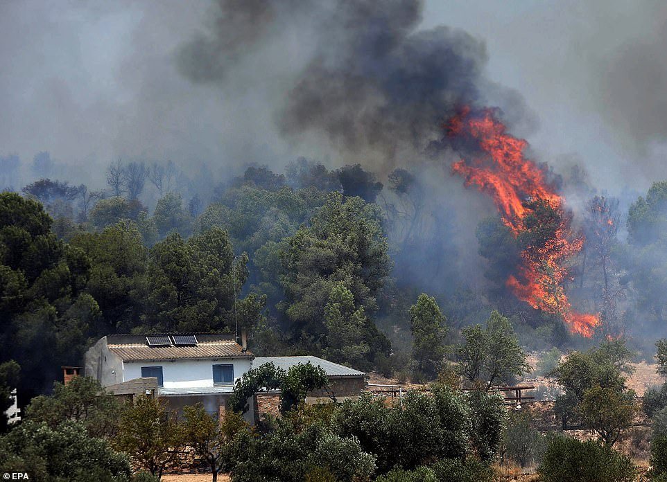 Nắng nóng đã gây ra những vụ cháy rừng dữ dội ở Tây Ban Nha, trong đó có đám cháy ở tỉnh Tarragona. Hàng trăm lính cứu hỏa đang đối phó với 20 hướng di chuyển của ngọn lửa để ngăn đám cháy lan rộng. Ảnh: EPA.