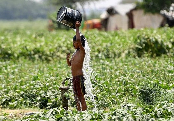 Raghunath Tonde, một cư dân ở Beed, bang Maharashtra, cho biết khu vực này đối mặt với tình trạng thiếu nước trầm trọng trong suốt 5 năm qua. "Chúng tôi rất lo lắng", Tonde chia sẻ. Ảnh: Daily Mail.