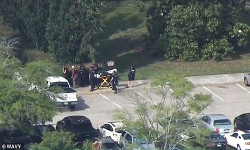 Kinh hoang xa sung o My, 11 nguoi chet