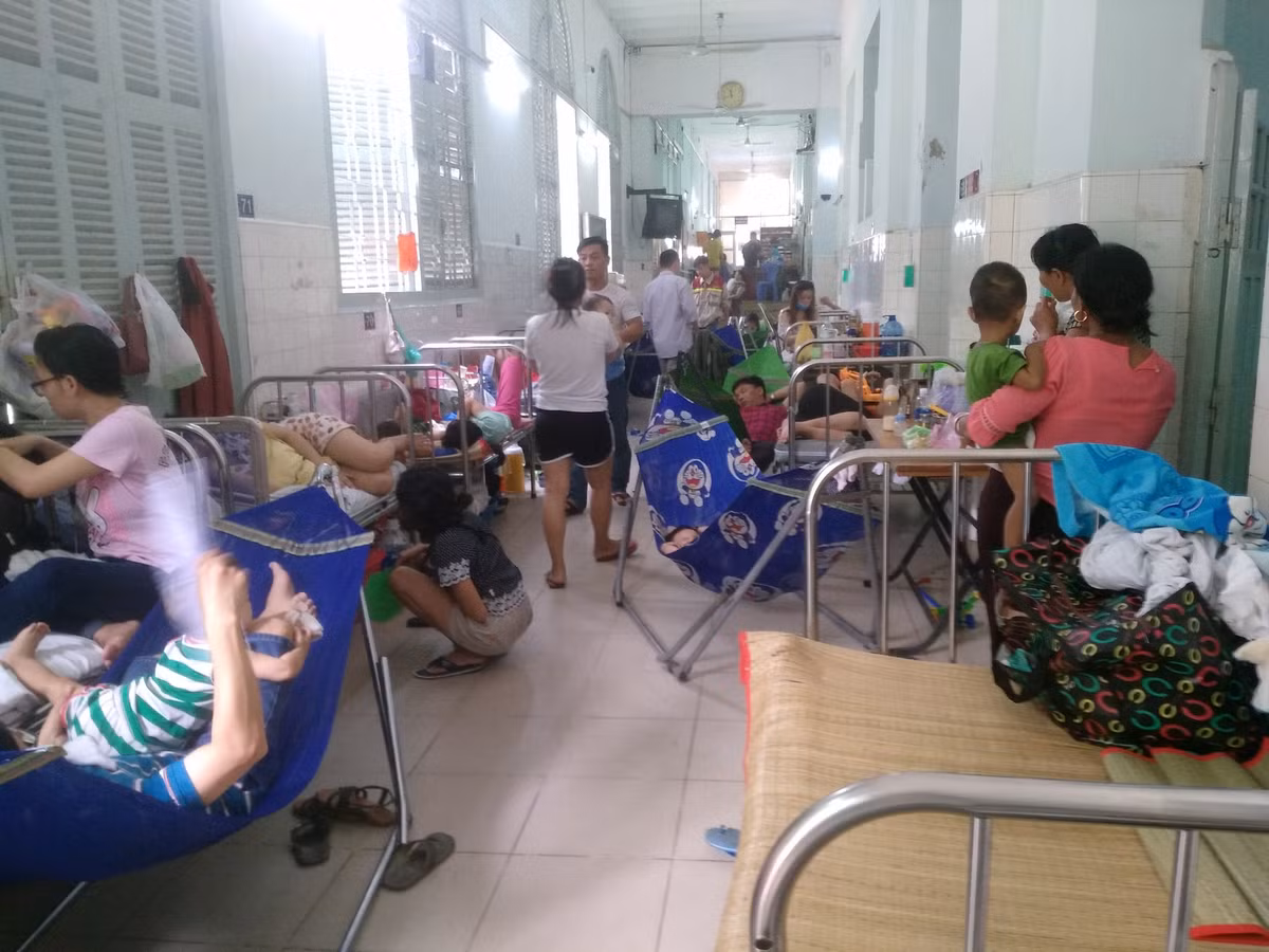 Nghich ly benh nhan nam hanh lang, TP sot sang xay nha hat 1.500 ty-Hinh-4