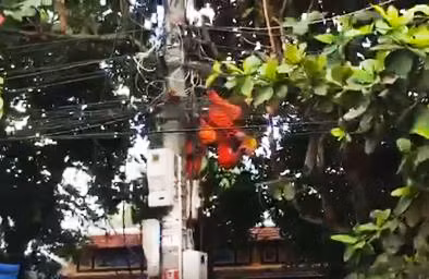 Nam cong nhan bi dien giat treo tren tru, tu vong thuong tam