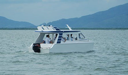 Vu chim ca no o Can Gio: Kien nghi len quoc hoi