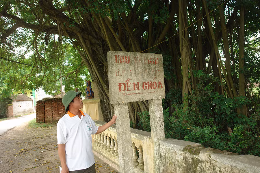 Ly ky cuoc chien bao ve nhung goc cay tram ty dong cua nong dan