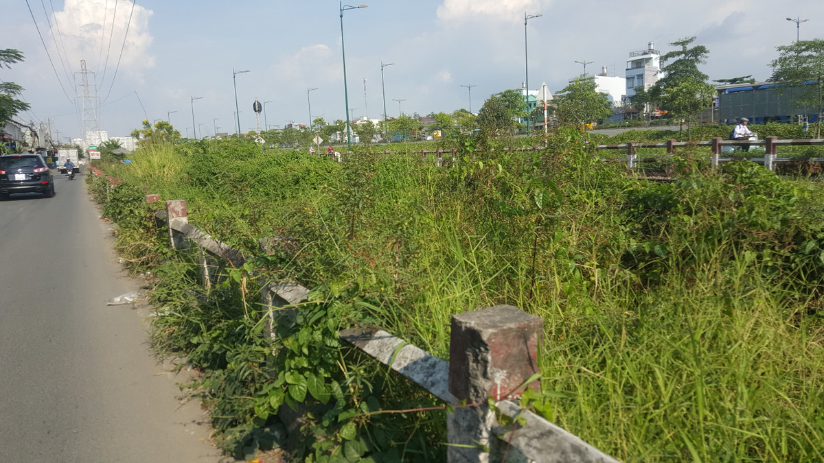 TP HCM: Dan thach thuc 