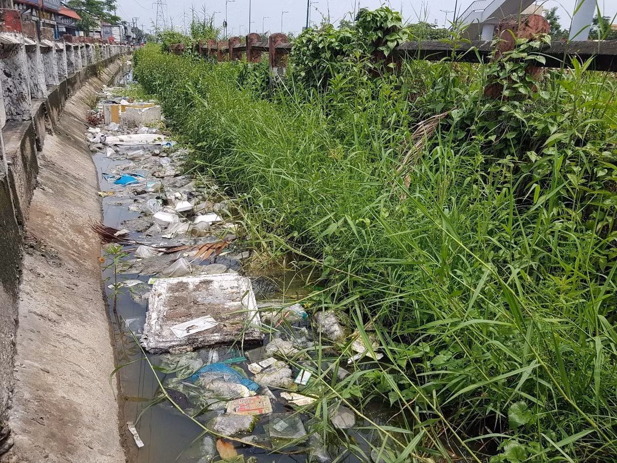 TP HCM: Dan thach thuc 