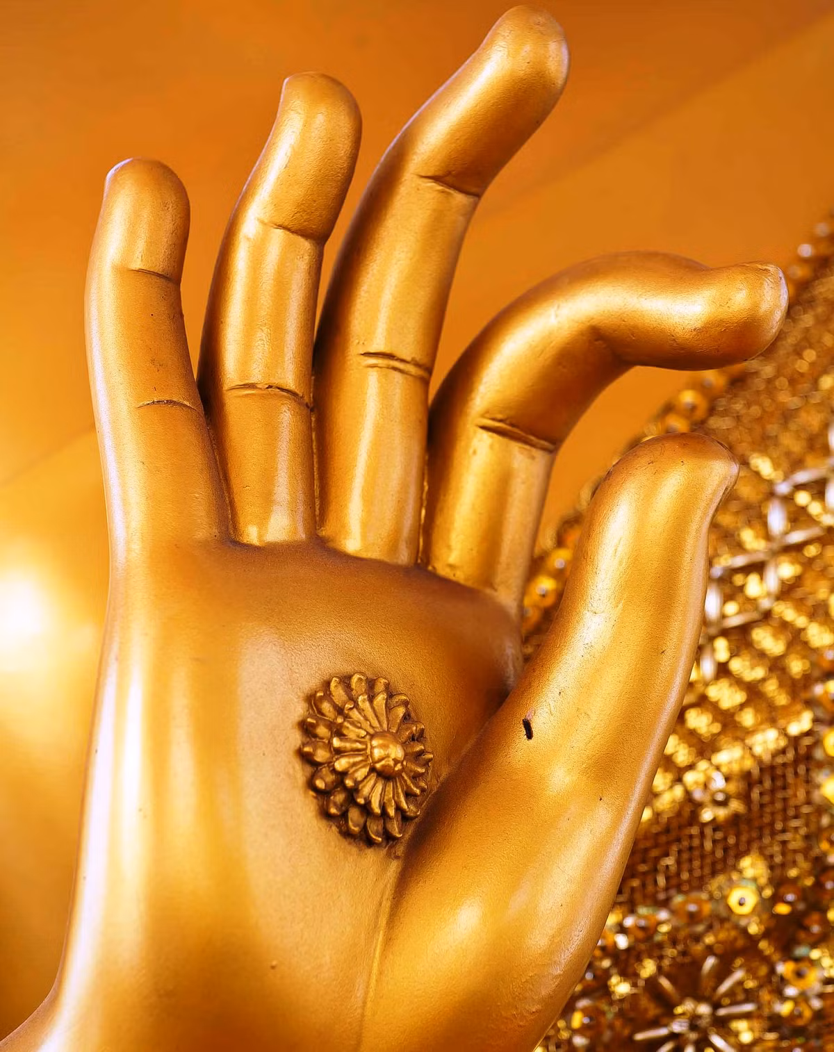 Hai hang nguoi kho gap o doi