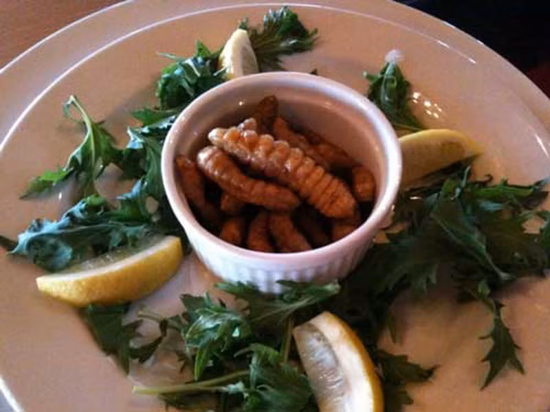 Do nguồn thức ăn của loài sâu bướm Witchetty là gỗ cây nên thịt chúng có vị thơm ngon như hạnh nhân. Khi nấu chín thì săn lại như thịt gà màu vàng óng ăn bùi, kích thích vị giác.