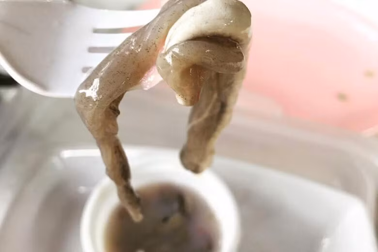 Tamilok (sâu gỗ) trông như những con giun nhỏ nhếch nhác nhưng lại là món ăn đặc sản phổ biến ở vùng Palawan và Aklan của Philippines.