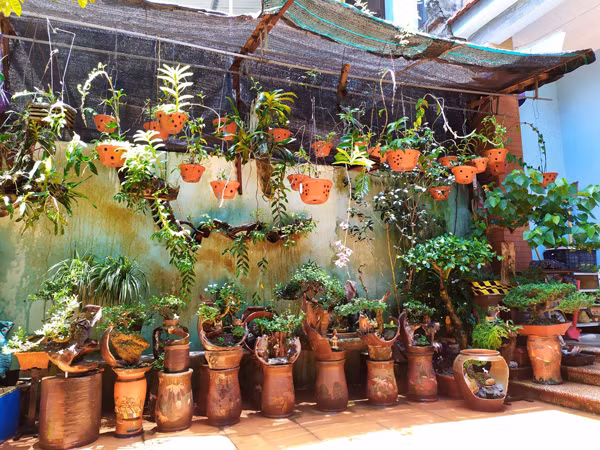 Nhat thu vut di, tuong rac hoa ra la mo vang